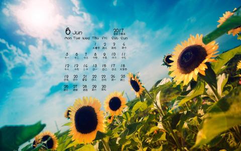2017年6月美丽的向日葵桌面日历壁纸第5张