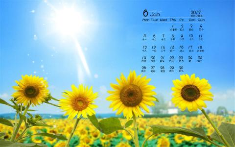 2017年6月美丽的向日葵桌面日历壁纸第6张