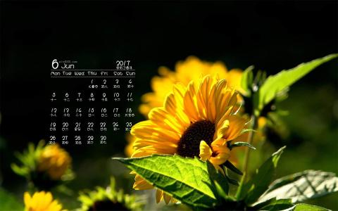 图片 _ 第(3)张