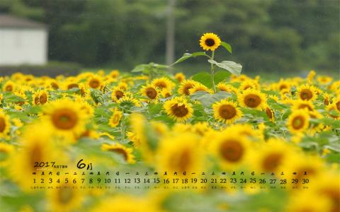 图片 _ 第(6)张