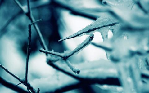 冬日雪景图片 _ 第(8)张