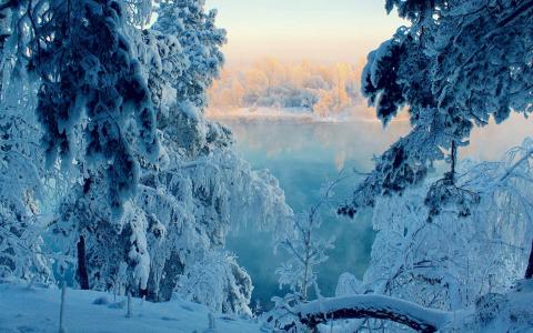 冬日雪景图片 _ 第(10)张