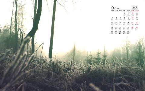 冬日雪景图片 _ 第(3)张
