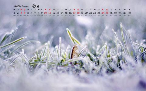 冬日雪景图片 _ 第(11)张