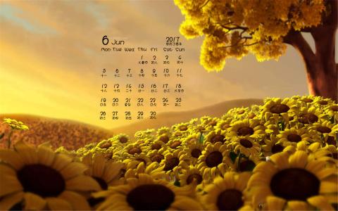 2014年9月日历壁纸秋天太阳下的美丽向日葵图片合集(二)第1张