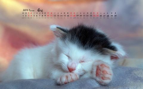 90后性感小猫咪写真第1张