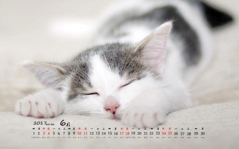 90后性感小猫咪写真第4张