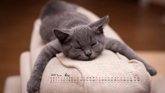 90后性感小猫咪写真第2张