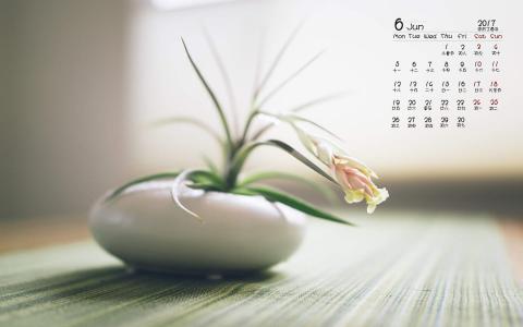 秋日日系小清新风景高清手机壁纸第1张