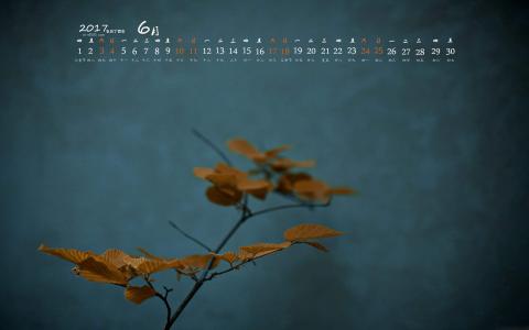 2017年9月秋季渐黄的树叶摄影高清日历壁纸第6张