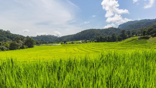 清新绿色田园自然风景高清图片桌面壁纸第3张