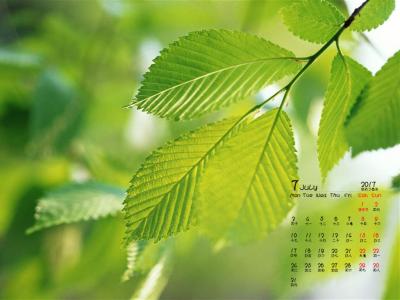 2014年9月日历壁纸微距树叶唯美摄影图片合集第一辑第1张