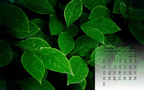 2014年9月日历壁纸微距树叶唯美摄影图片合集第一辑第6张