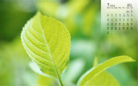 生机盎然的绿色叶子护眼图片桌面壁纸第4张