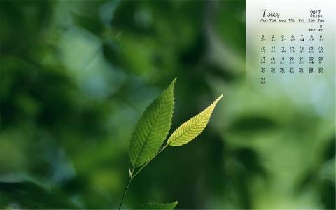 2017年7月护眼叶子风景日历壁纸第2张