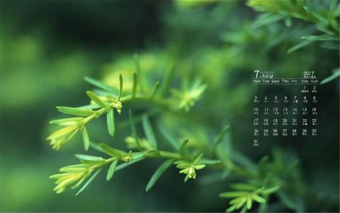 2017年7月护眼叶子风景日历壁纸第3张