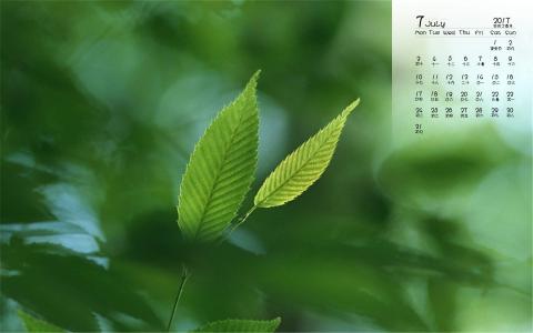 2017年7月护眼叶子风景日历壁纸第4张
