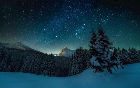 冬日雪景图片 _ 第(5)张