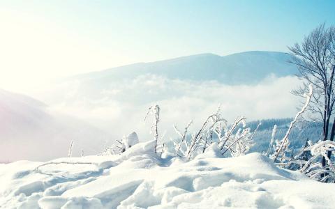 冬日雪景图片 _ 第(7)张