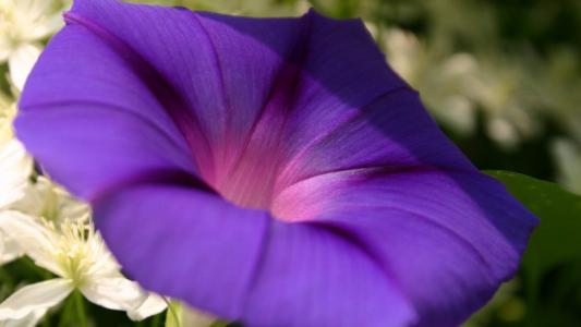 图片 _ 第(6)张