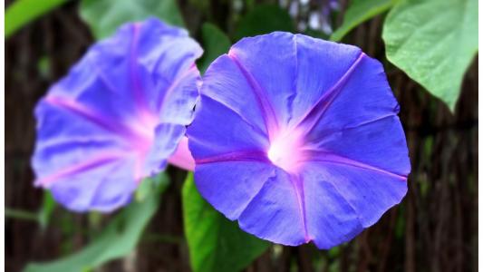 图片 _ 第(10)张