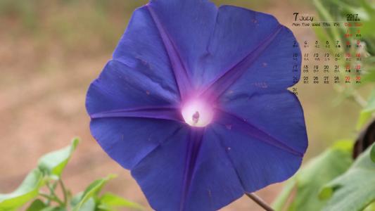 图片 _ 第(6)张