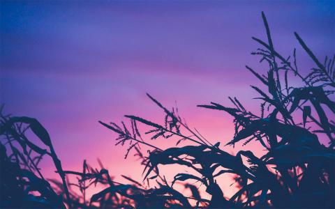 小清新唯美海边风景高清手机壁纸第2张