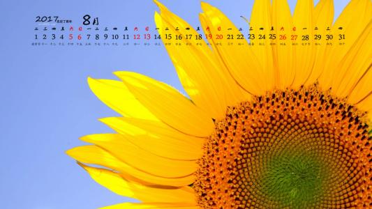 2014年6月日历桌面壁纸金黄向日葵唯美清新图片第5张