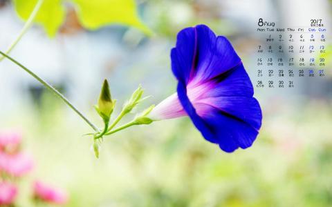 图片 _ 第(9)张