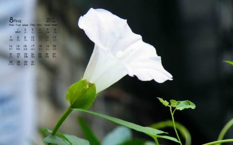 图片 _ 第(10)张