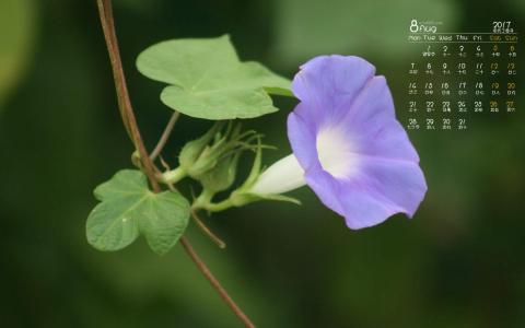 图片 _ 第(12)张