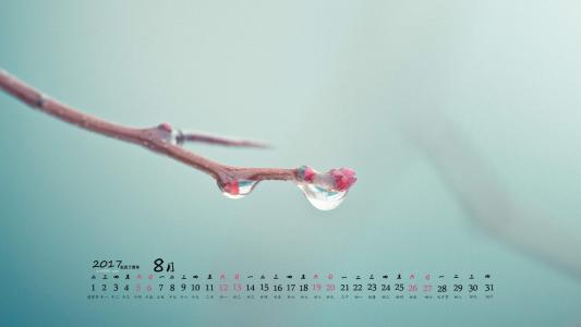 嫩芽图片 _ 第(1)张