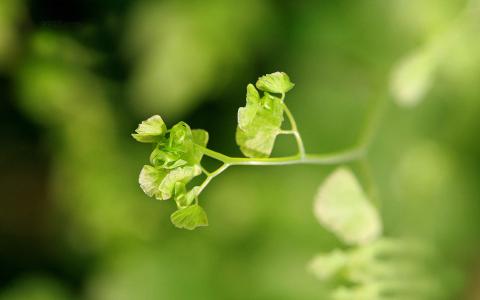 图片 _ 第(3)张