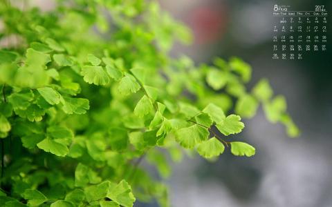 图片 _ 第(3)张