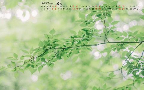 秋日日系小清新风景高清手机壁纸第2张