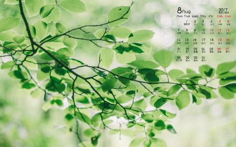 秋日日系小清新风景高清手机壁纸第3张