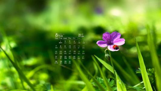 2019年11月赵丽颖魅力写真日历壁纸第4张