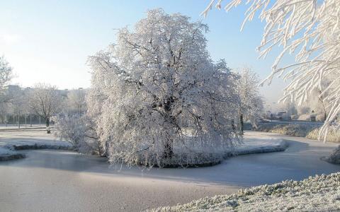 风景白雪图片 _ 第(1)张