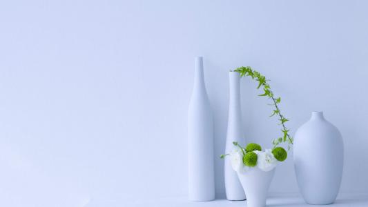 小清新盆栽唯美清爽高清桌面壁纸第0张