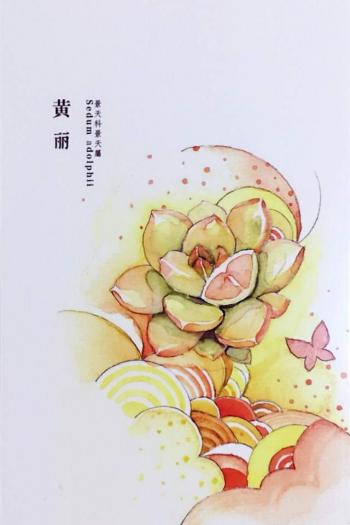 植物水彩艺术插画手机壁纸第4张