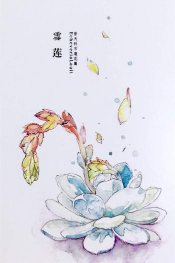 植物水彩艺术插画手机壁纸第5张