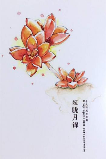 植物水彩艺术插画手机壁纸第6张