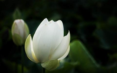 第2张
