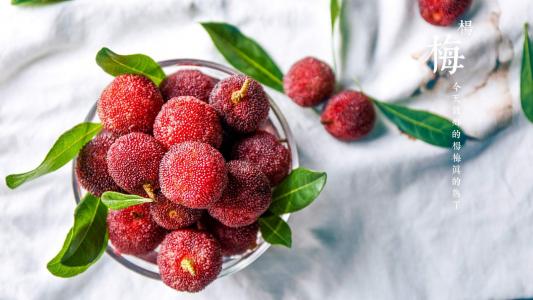 水果杨梅第6张