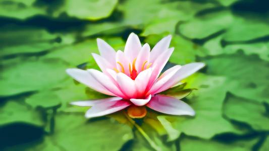 图片 _ 第(3)张