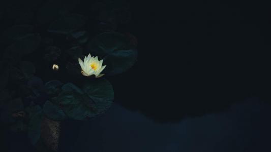 图片 _ 第(4)张