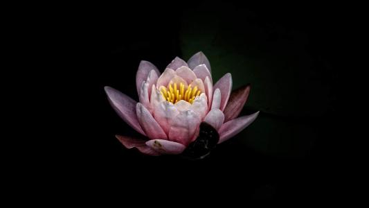 图片 _ 第(5)张