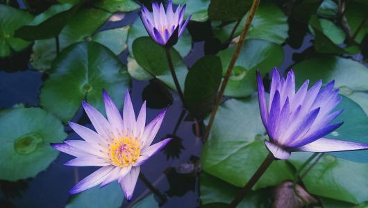 图片 _ 第(7)张