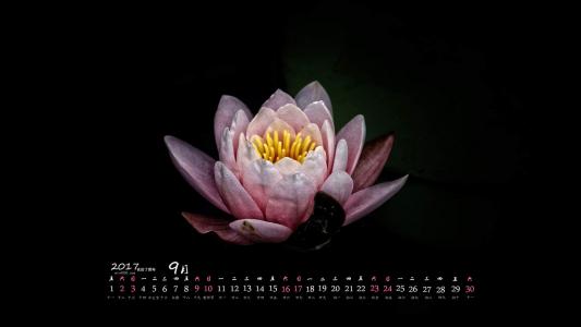 图片 _ 第(2)张