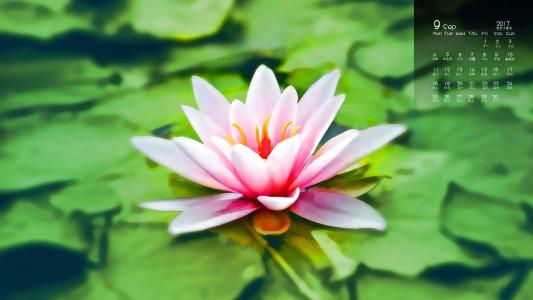 图片 _ 第(5)张